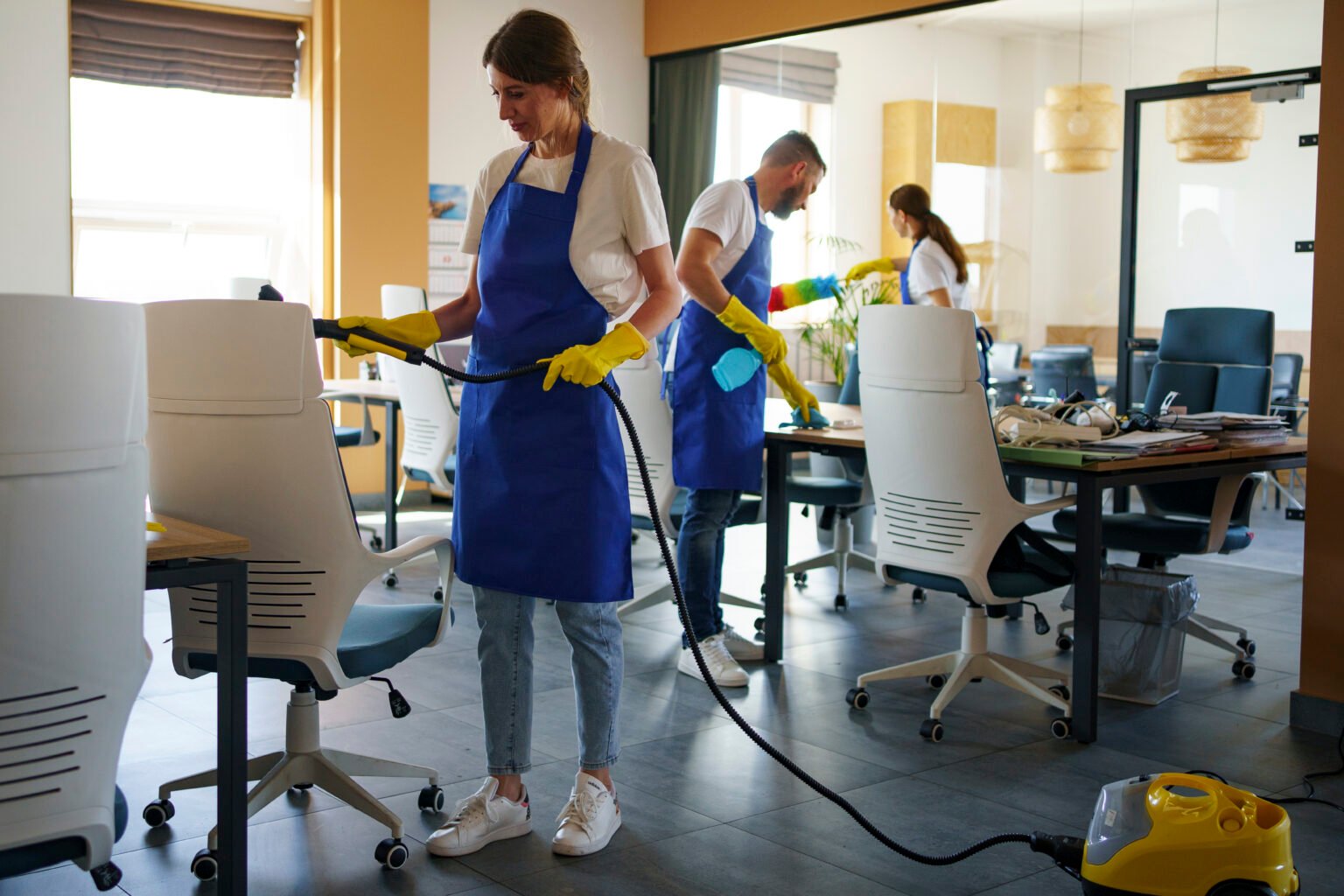 Professional Housekeeping