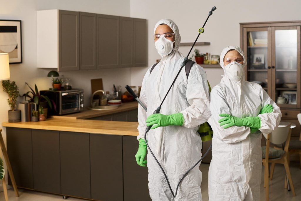 Pest Control Services